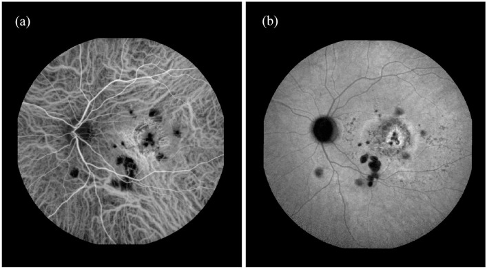 Figure 3.