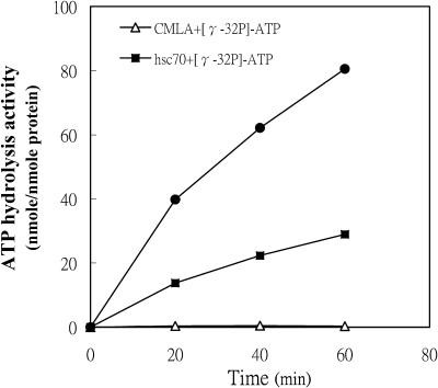 Fig 5.