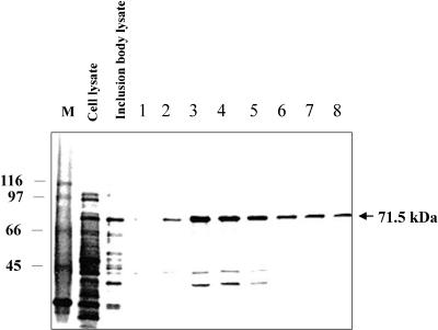 Fig 3.