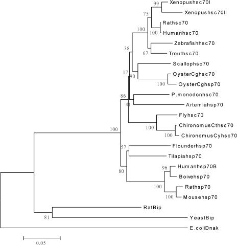 Fig 2.