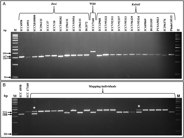 Figure 3.