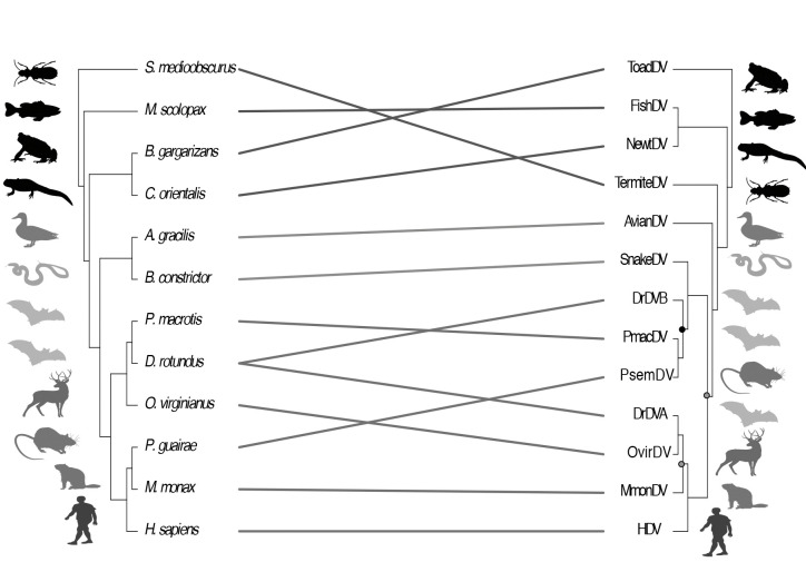 graphic file with name iti0321118unfig04.jpg