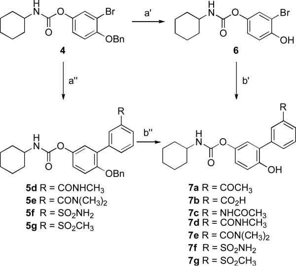 Scheme 1