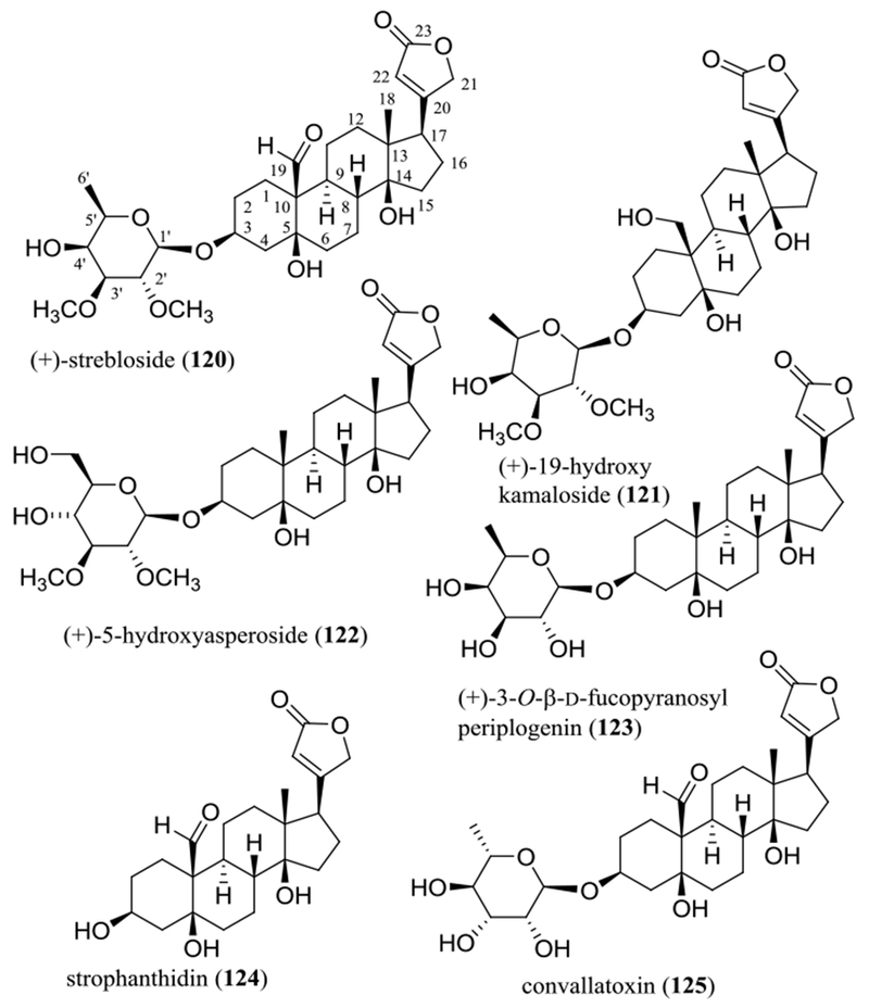 Figure 13.