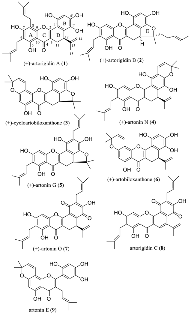 Figure 1.