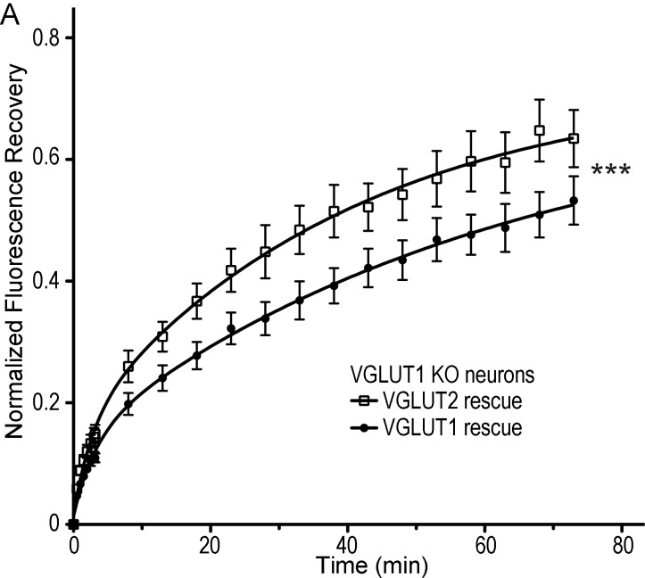 Figure 1—figure supplement 1.