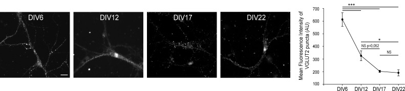 Figure 3—figure supplement 1.