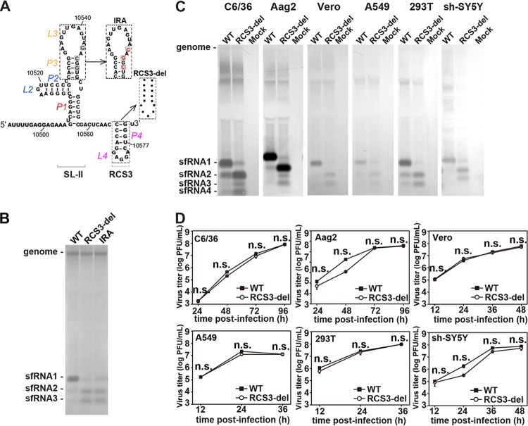 FIG 3