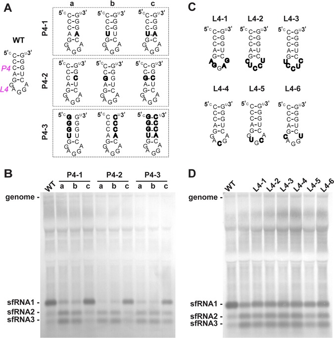 FIG 4