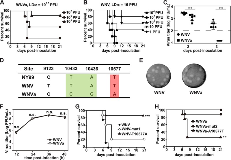 FIG 1