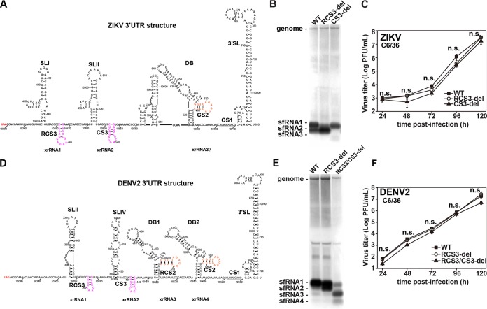 FIG 6