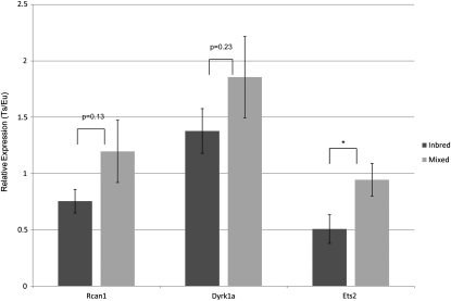 Figure 4 