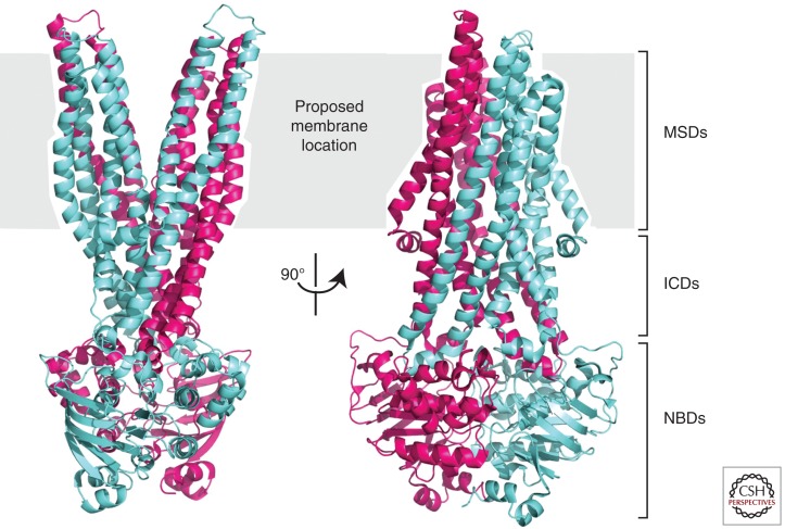 Figure 2.