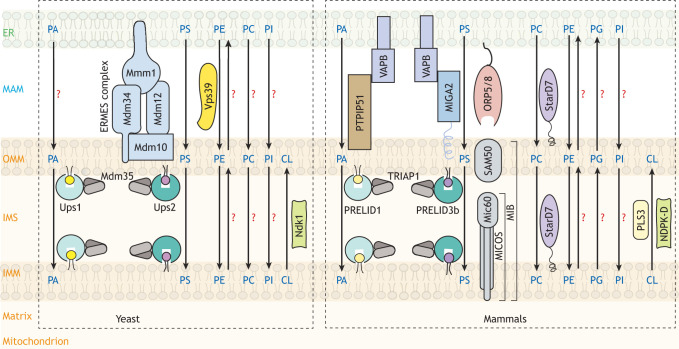 Fig. 3.