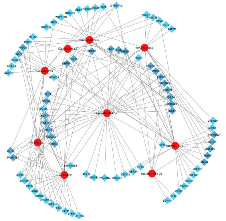 Figure 7