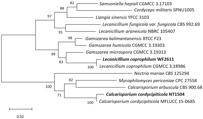 Figure 4