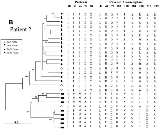 FIG. 2.