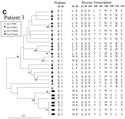 FIG. 2.