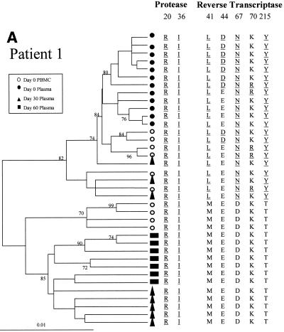 FIG. 2.