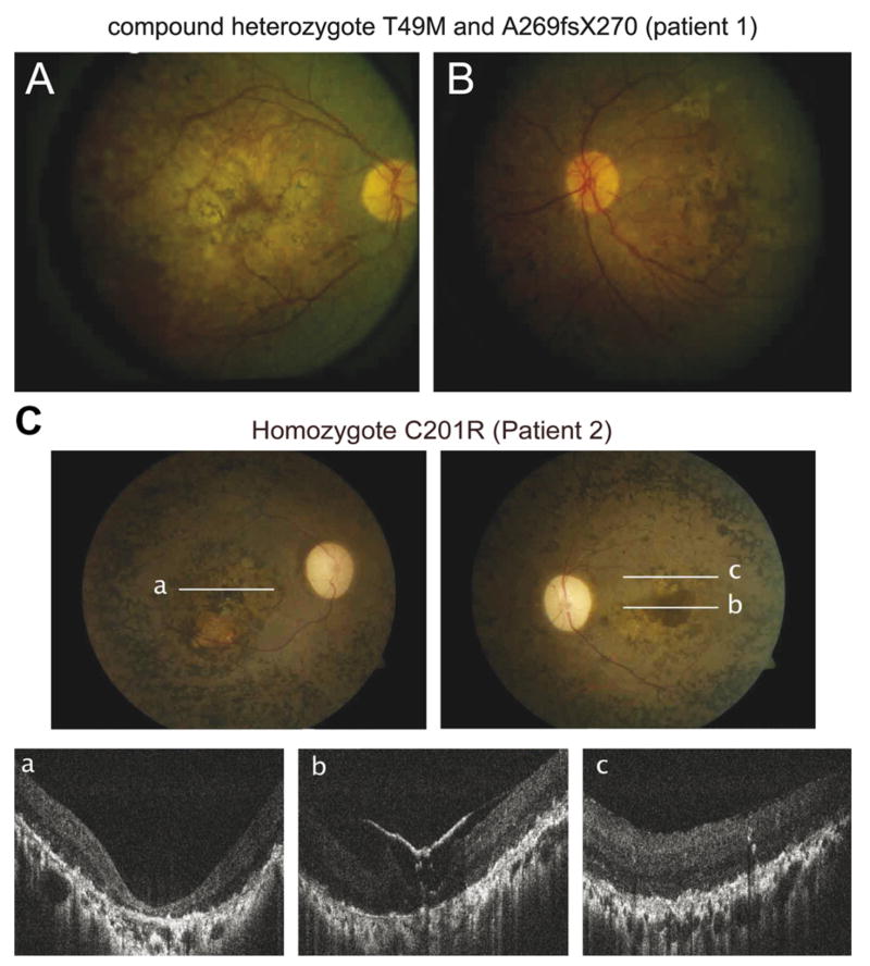 Fig. 7