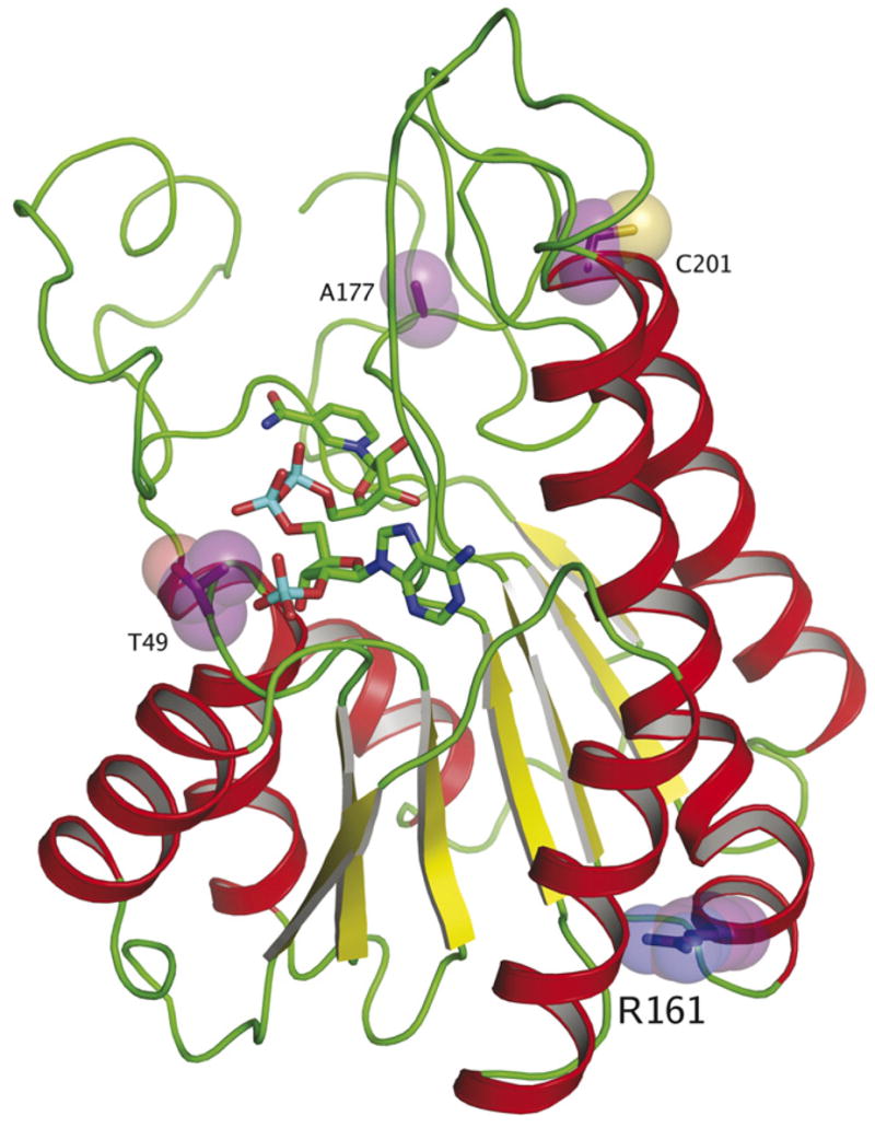 Fig. 3