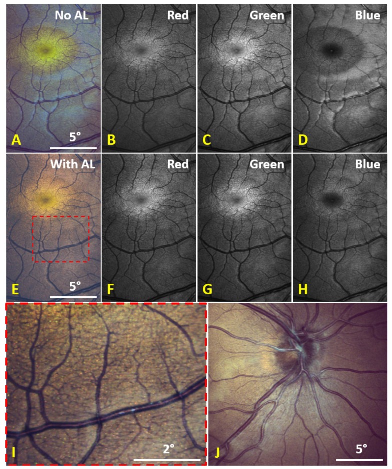 Fig. 8