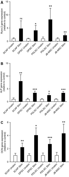 Fig. 7