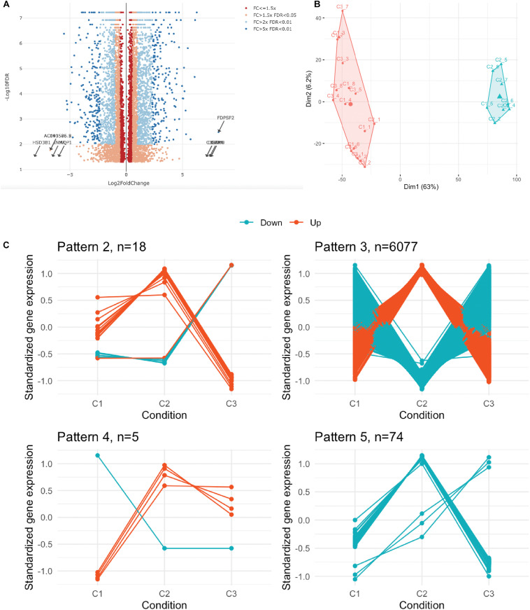 FIGURE 3