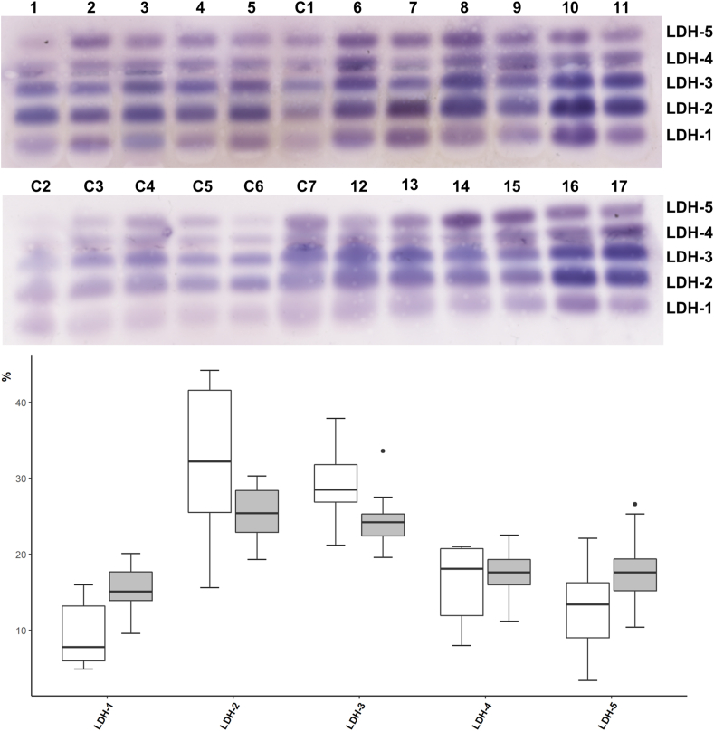 Fig. 1