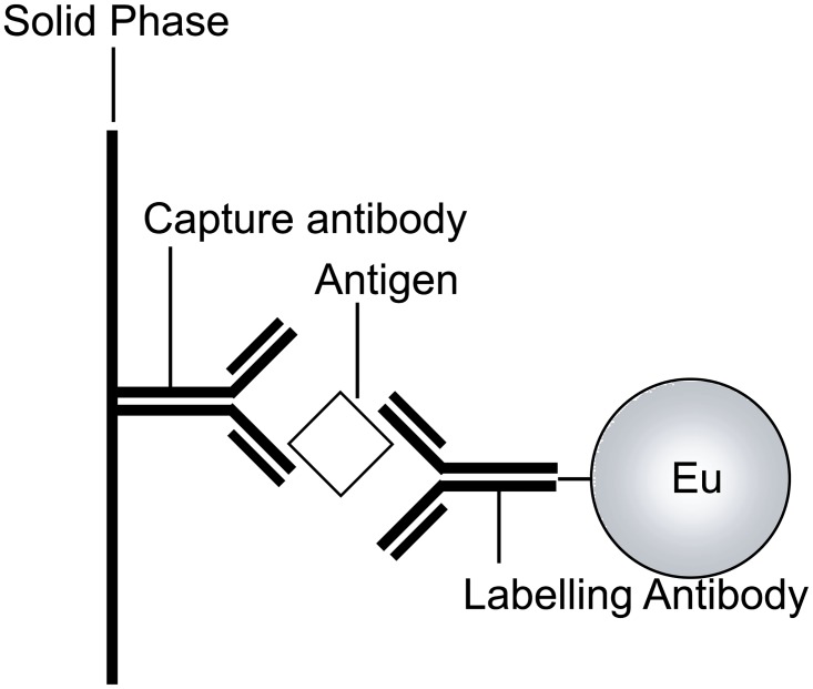 Fig 5