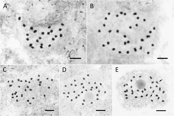 Figure 14