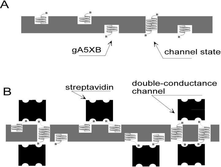 Figure 9. 