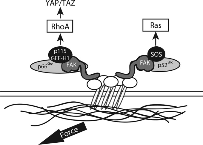 FIG 10