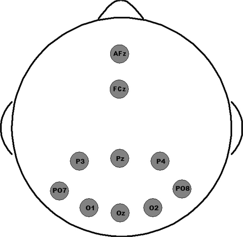 Fig. 1