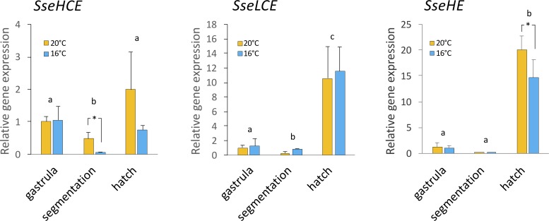 Fig 5