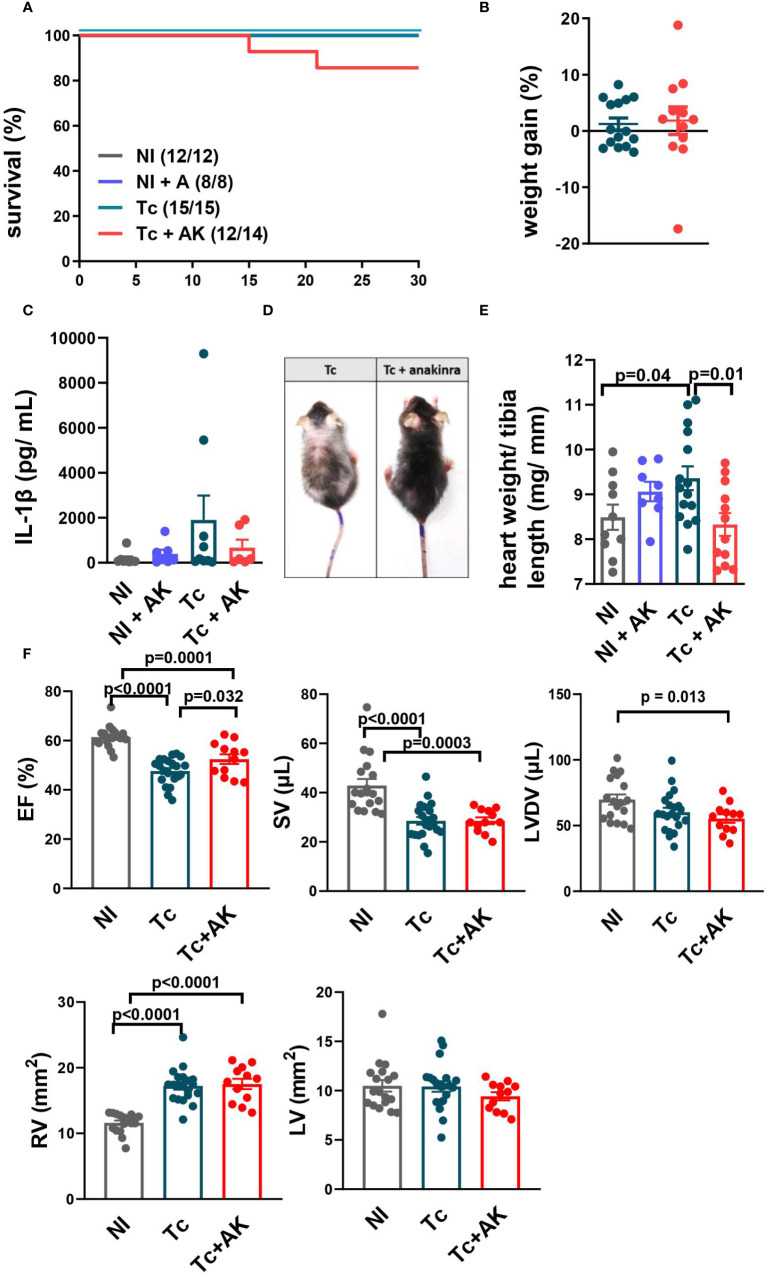 Figure 4