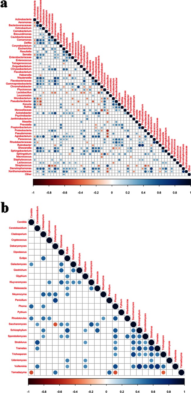 FIG 6