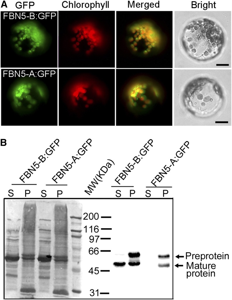 Figure 2.