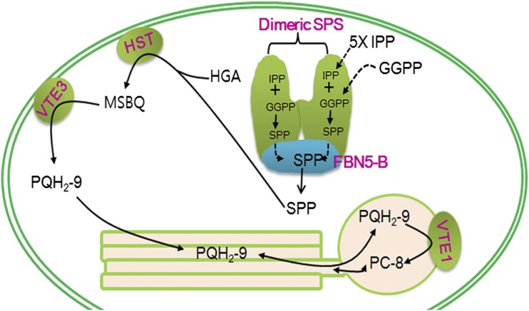 Figure 9.