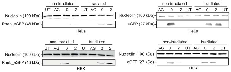 Extended Data Fig. 4