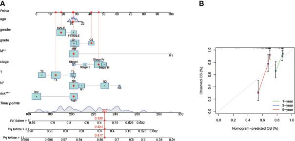 Figure 6