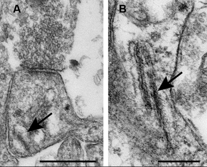 Figure 10.