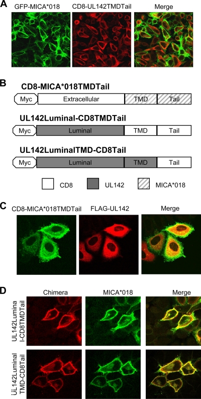 FIG. 6.