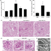 FIGURE 2: