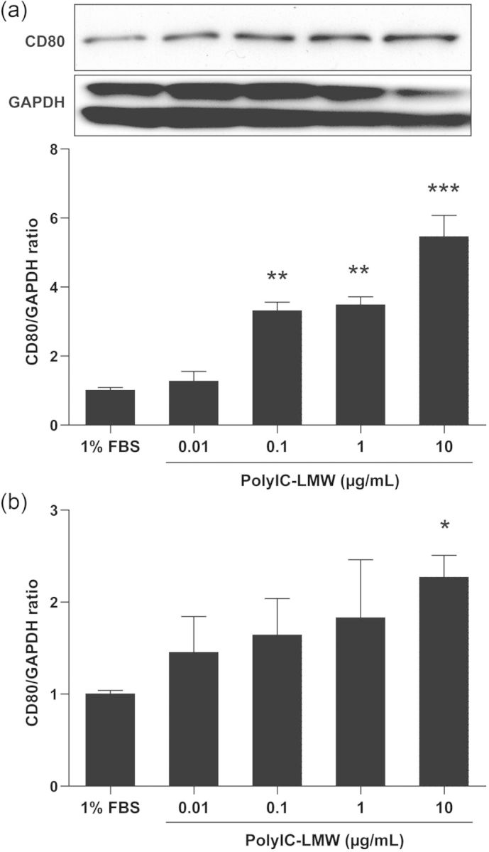 FIGURE 1: