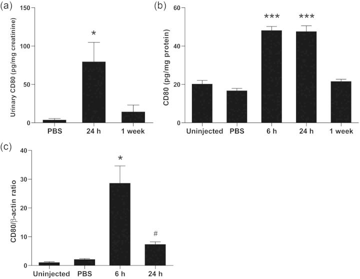 FIGURE 3: