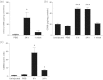 FIGURE 3: