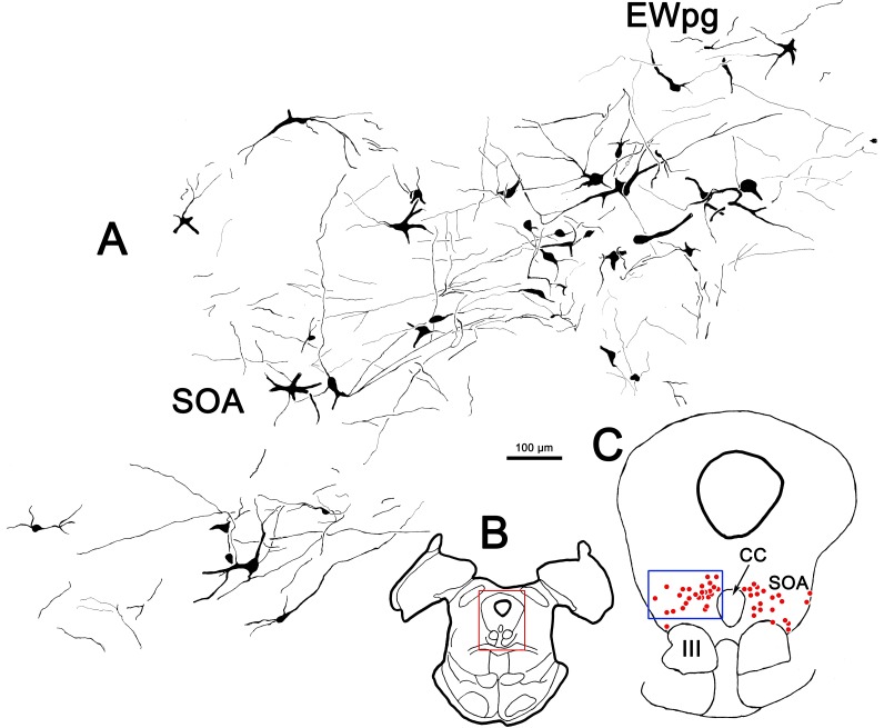 Figure 10