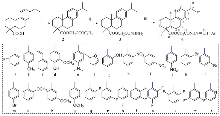 Scheme 1