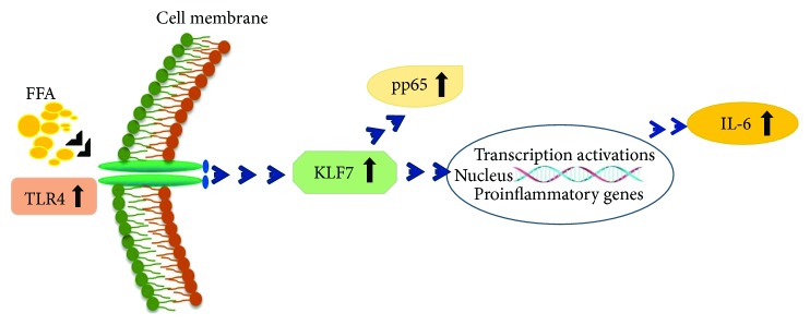 Figure 7